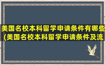 美国名校本科留学申请条件有哪些(美国名校本科留学申请条件及流程)