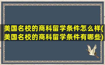 美国名校的商科留学条件怎么样(美国名校的商科留学条件有哪些)