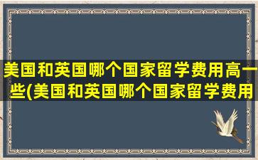 美国和英国哪个国家留学费用高一些(美国和英国哪个国家留学费用高一点)