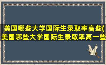 美国哪些大学国际生录取率高些(美国哪些大学国际生录取率高一些)