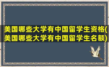 美国哪些大学有中国留学生资格(美国哪些大学有中国留学生名额)