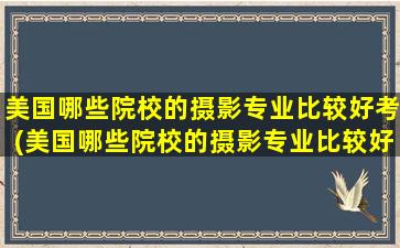 美国哪些院校的摄影专业比较好考(美国哪些院校的摄影专业比较好考研)