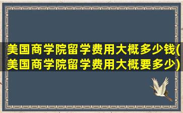 美国商学院留学费用大概多少钱(美国商学院留学费用大概要多少)