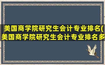 美国商学院研究生会计专业排名(美国商学院研究生会计专业排名多少)