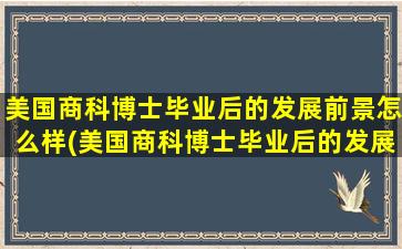 美国商科博士毕业后的发展前景怎么样(美国商科博士毕业后的发展前景)