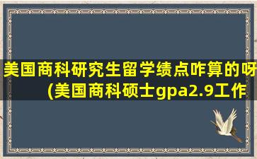 美国商科研究生留学绩点咋算的呀(美国商科硕士gpa2.9工作经验)