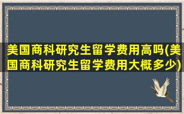 美国商科研究生留学费用高吗(美国商科研究生留学费用大概多少)