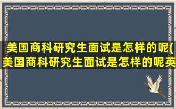 美国商科研究生面试是怎样的呢(美国商科研究生面试是怎样的呢英语)