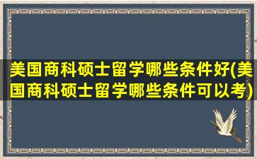 美国商科硕士留学哪些条件好(美国商科硕士留学哪些条件可以考)