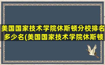 美国国家技术学院休斯顿分校排名多少名(美国国家技术学院休斯顿分校排名多少能上)