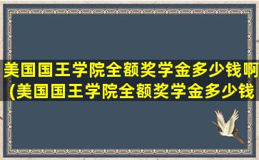 美国国王学院全额奖学金多少钱啊(美国国王学院全额奖学金多少钱一个月)