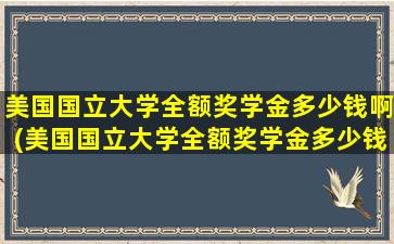 美国国立大学全额奖学金多少钱啊(美国国立大学全额奖学金多少钱一个月)