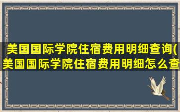 美国国际学院住宿费用明细查询(美国国际学院住宿费用明细怎么查)