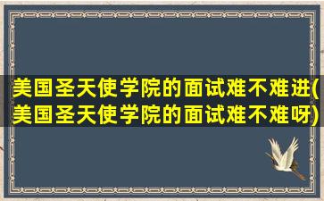 美国圣天使学院的面试难不难进(美国圣天使学院的面试难不难呀)