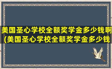 美国圣心学校全额奖学金多少钱啊(美国圣心学校全额奖学金多少钱一个月)