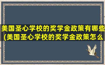 美国圣心学校的奖学金政策有哪些(美国圣心学校的奖学金政策怎么样)