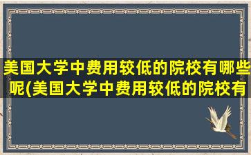 美国大学中费用较低的院校有哪些呢(美国大学中费用较低的院校有哪些专业)