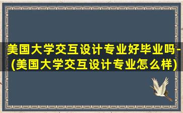 美国大学交互设计专业好毕业吗-(美国大学交互设计专业怎么样)