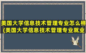 美国大学信息技术管理专业怎么样(美国大学信息技术管理专业就业前景)