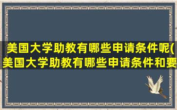 美国大学助教有哪些申请条件呢(美国大学助教有哪些申请条件和要求)