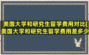 美国大学和研究生留学费用对比(美国大学和研究生留学费用差多少)