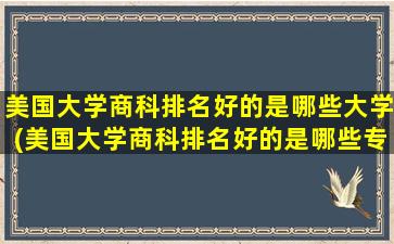 美国大学商科排名好的是哪些大学(美国大学商科排名好的是哪些专业)