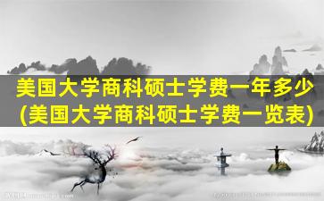 美国大学商科硕士学费一年多少(美国大学商科硕士学费一览表)