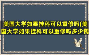 美国大学如果挂科可以重修吗(美国大学如果挂科可以重修吗多少钱)