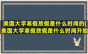 美国大学寒假放假是什么时间的(美国大学寒假放假是什么时间开始)