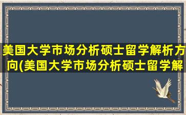 美国大学市场分析硕士留学解析方向(美国大学市场分析硕士留学解析论文)