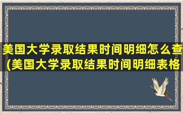 美国大学录取结果时间明细怎么查(美国大学录取结果时间明细表格)