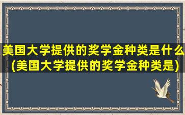 美国大学提供的奖学金种类是什么(美国大学提供的奖学金种类是)