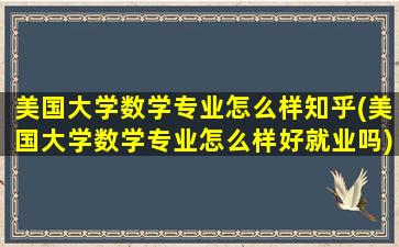 美国大学数学专业怎么样知乎(美国大学数学专业怎么样好就业吗)