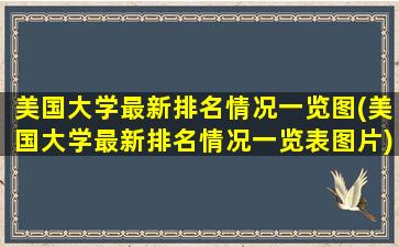 美国大学最新排名情况一览图(美国大学最新排名情况一览表图片)