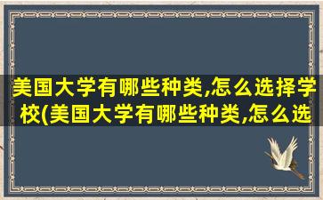 美国大学有哪些种类,怎么选择学校(美国大学有哪些种类,怎么选择专业)