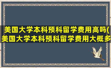 美国大学本科预科留学费用高吗(美国大学本科预科留学费用大概多少)