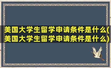 美国大学生留学申请条件是什么(美国大学生留学申请条件是什么)