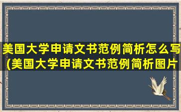 美国大学申请文书范例简析怎么写(美国大学申请文书范例简析图片)