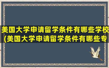 美国大学申请留学条件有哪些学校(美国大学申请留学条件有哪些专业)