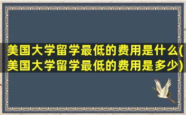 美国大学留学最低的费用是什么(美国大学留学最低的费用是多少)