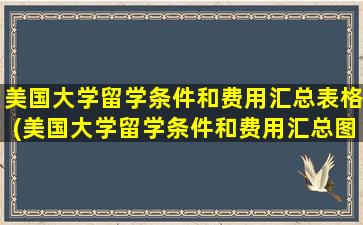 美国大学留学条件和费用汇总表格(美国大学留学条件和费用汇总图)