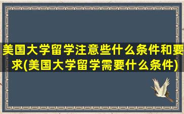 美国大学留学注意些什么条件和要求(美国大学留学需要什么条件)