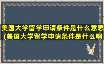 美国大学留学申请条件是什么意思(美国大学留学申请条件是什么啊)