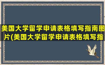 美国大学留学申请表格填写指南图片(美国大学留学申请表格填写指南怎么填)