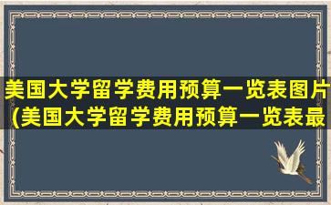 美国大学留学费用预算一览表图片(美国大学留学费用预算一览表最新)