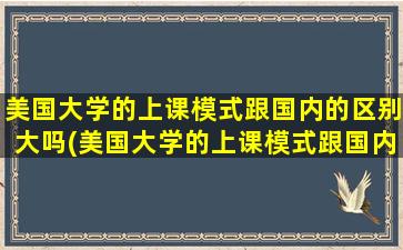 美国大学的上课模式跟国内的区别大吗(美国大学的上课模式跟国内的区别在哪)