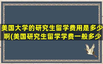 美国大学的研究生留学费用是多少啊(美国研究生留学学费一般多少)