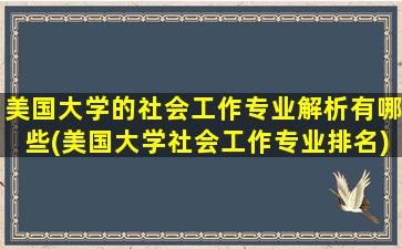 美国大学的社会工作专业解析有哪些(美国大学社会工作专业排名)