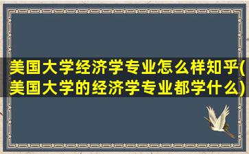 美国大学经济学专业怎么样知乎(美国大学的经济学专业都学什么)