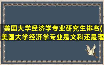 美国大学经济学专业研究生排名(美国大学经济学专业是文科还是理科)